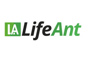 עיצוב לוגו לחברת ביטוח חיים